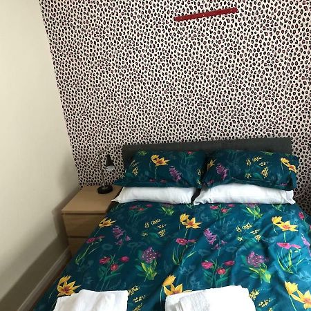 Ainsworth Place Belfast Zewnętrze zdjęcie